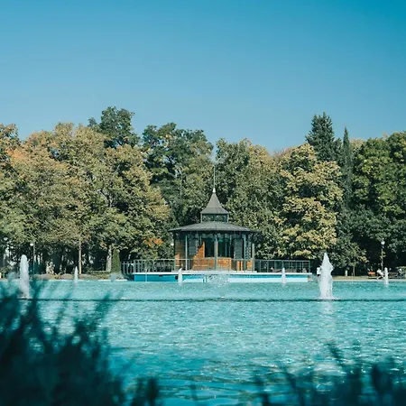 One-bedroom With Free Street Parking, Free Gym Pass And Office Setup プロヴディフ